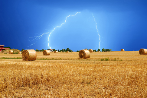Field Grain, Hay Seed Fire, Pasture