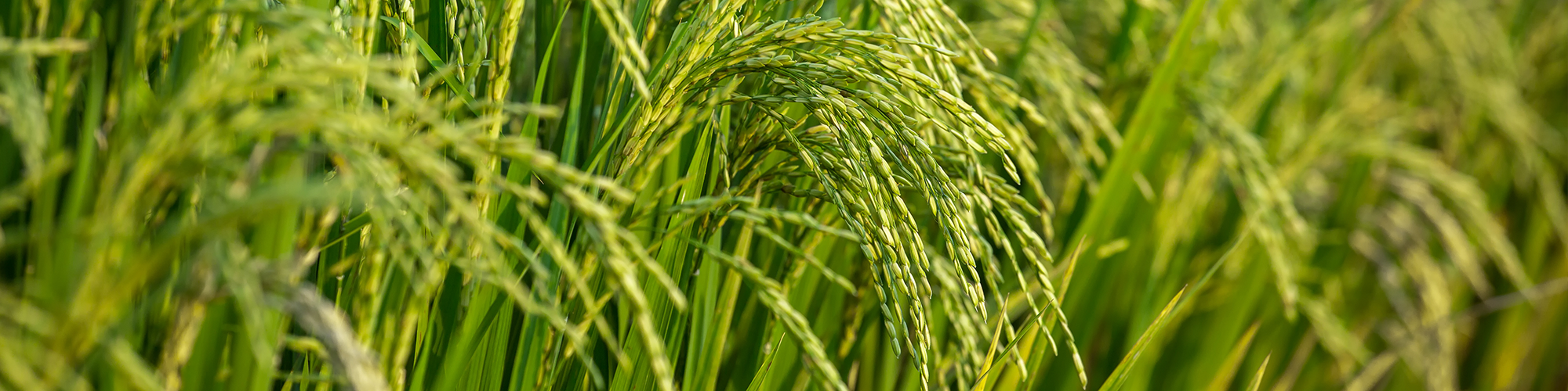 Title of blog post 2