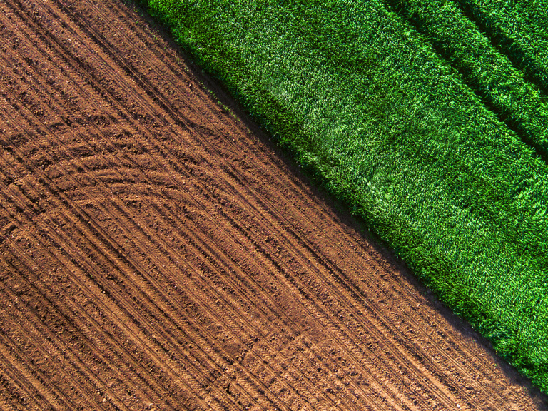 AgriNet resources for acreage reporting - AgriSompo