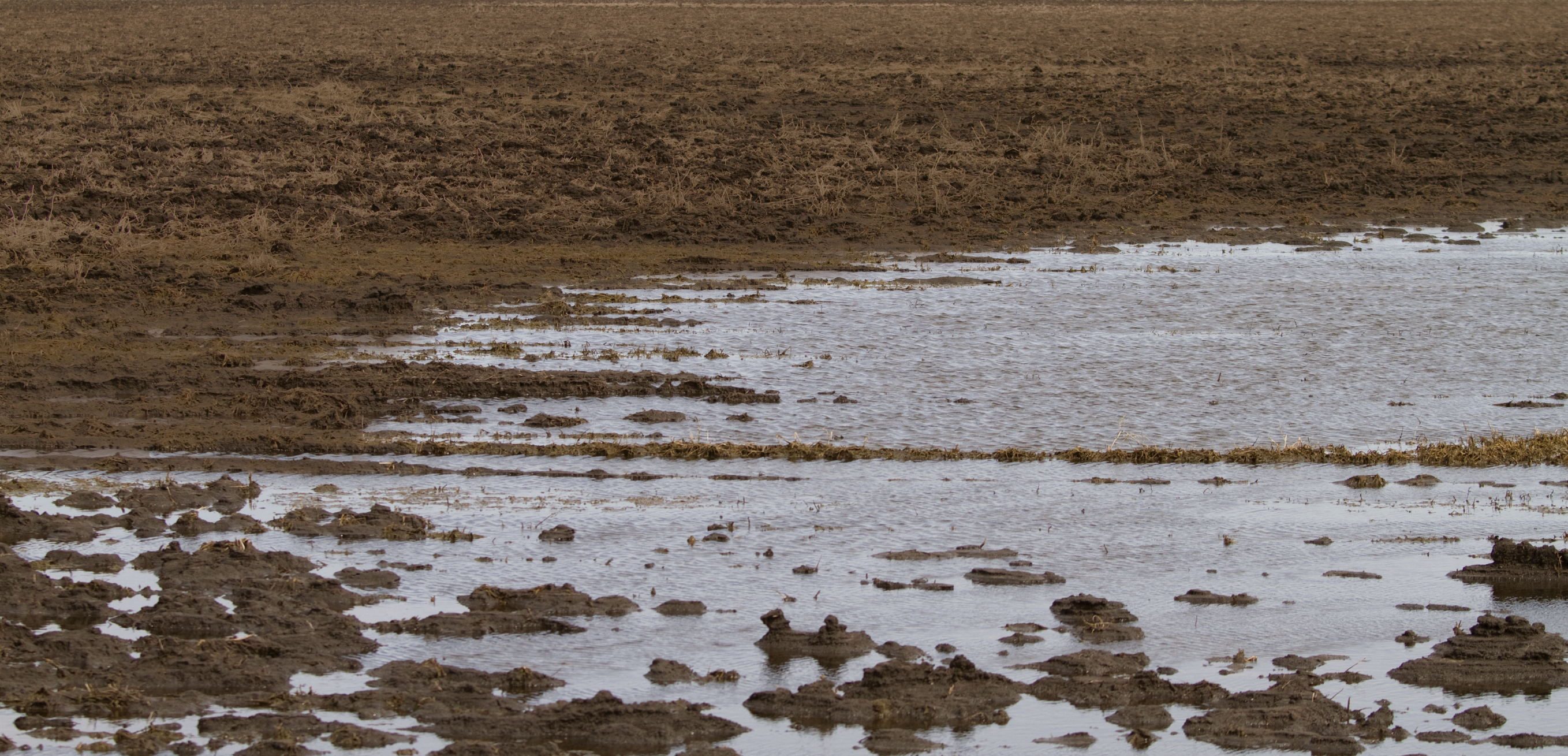 Title of blog post 2