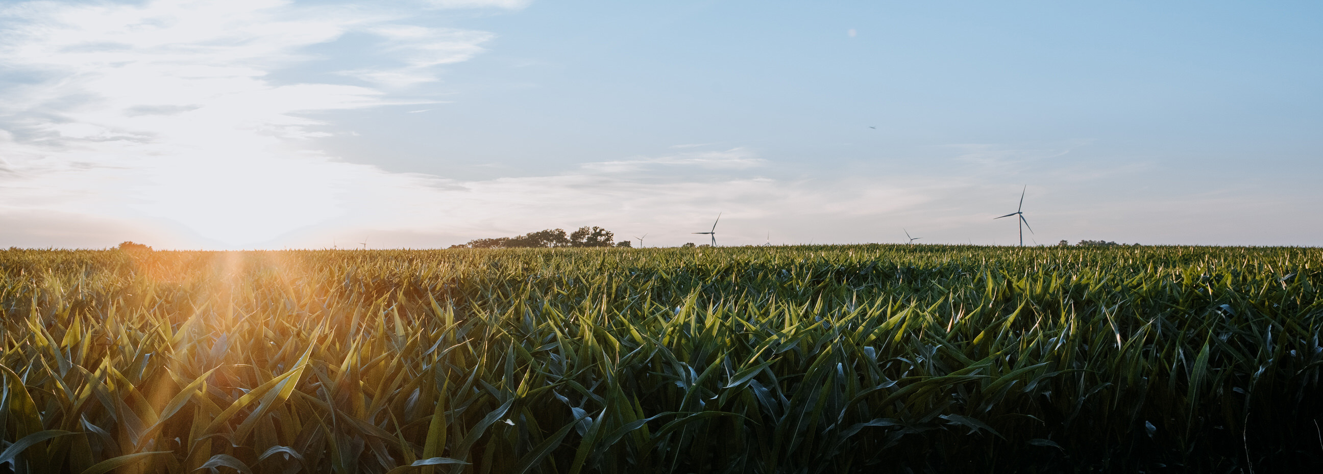 Celebrating Women Farmers and the Mason Family's Legacy of Dedication